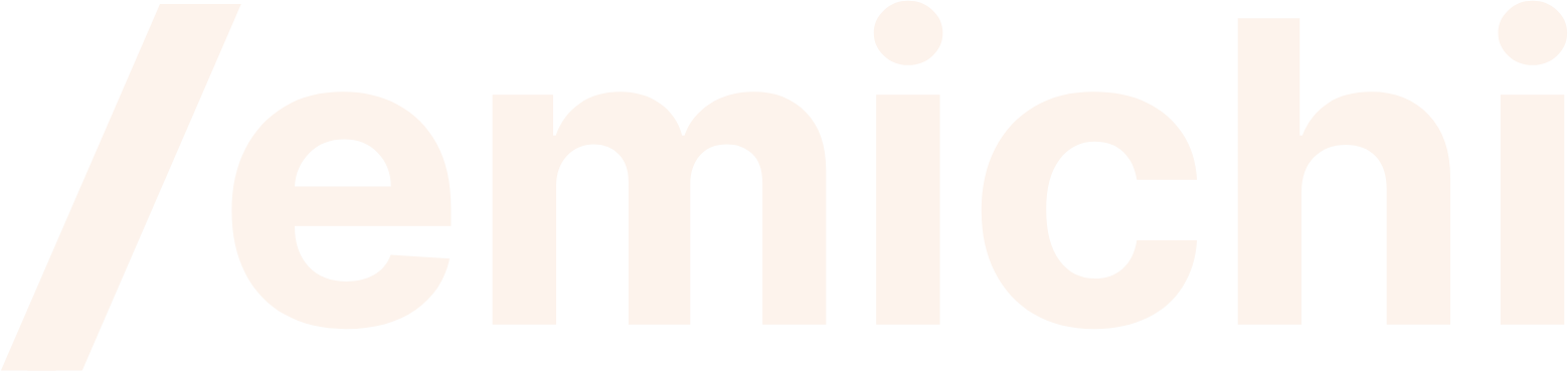 Emichi Logo Light